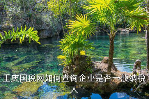 如何在國稅網(wǎng)查是否一般納稅人，怎么在網(wǎng)上查一個單位是不是一般納稅人