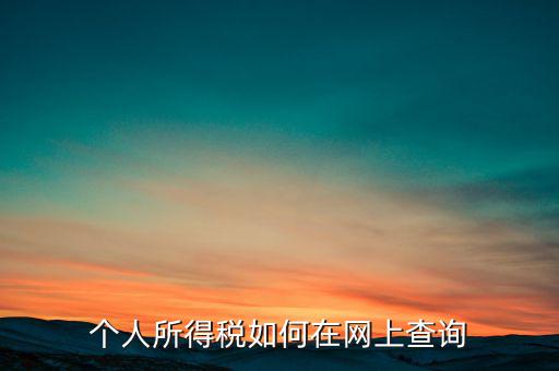 天津如何查個(gè)人所得稅，個(gè)人所得稅如何在網(wǎng)上查詢