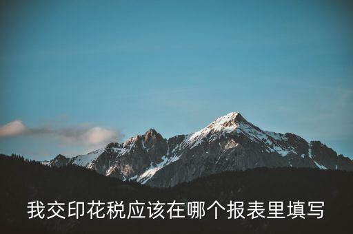 網(wǎng)上印花稅表如何填寫，印花稅申報報表要怎么填啊