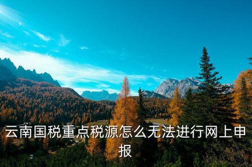 國(guó)稅重點(diǎn)稅源數(shù)據(jù)如何申報(bào)，重點(diǎn)稅源申報(bào)系統(tǒng)里面怎么把以前的數(shù)據(jù)導(dǎo)進(jìn)系統(tǒng)里面呢