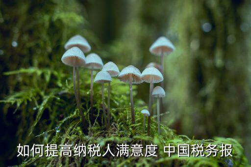 地稅如何提升納稅人滿意度，如何提高納稅人滿意度 中國稅務報