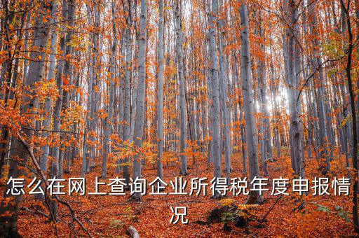 企業(yè)稅務信息如何查詢系統(tǒng)，通過企業(yè)注冊號和地稅登記證號如何查詢企業(yè)信息