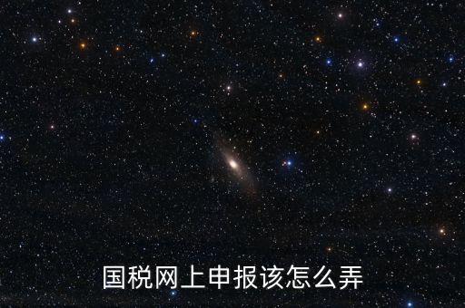 國稅新系統(tǒng)如何申報(bào)，國稅網(wǎng)上申報(bào)該怎么弄