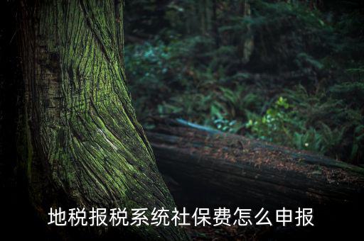 地稅如何申報社保嗎，地稅報稅時社保怎么填