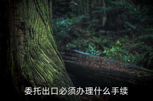 如何開具代理出口貨物證明，代理公司在當(dāng)?shù)亻_具代理出口貨物證明 請問我公司如何