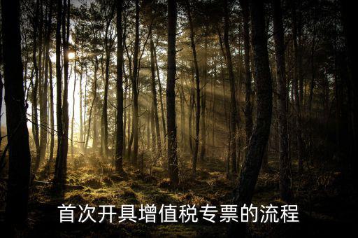 如何申請增值稅專票，怎么申辦專用發(fā)票