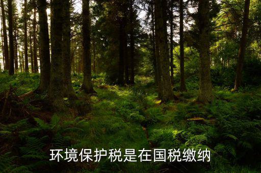 環(huán)境保護(hù)稅是在國稅繳納