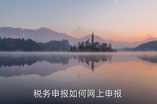 稅務申報如何網上申報