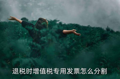 申報(bào)退稅如何分批，同一個(gè)退稅申報(bào)期內(nèi)可以申報(bào)2個(gè)批次嗎