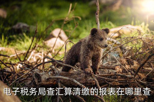 上海如何查詢匯算清繳，所得稅匯算清繳報告在金稅盤哪里查詢