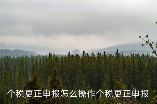 福建個(gè)人所得稅如何申報(bào)更正，個(gè)稅申報(bào)錯(cuò)了如何更正