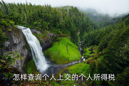 如何查詢(xún)個(gè)人稅務(wù)信息，怎樣查詢(xún)個(gè)人上交的個(gè)人所得稅