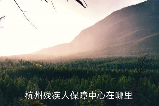 杭州市殘保證如何申請(qǐng)，杭州殘疾人保障中心在哪里