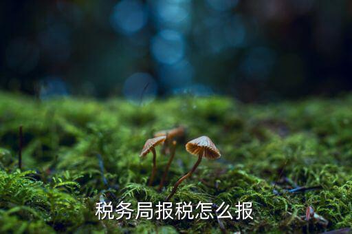 南通地稅如何申報，江蘇南通國家稅務(wù)局通用機(jī)打發(fā)票CIMS中沒有該用戶的申請或?qū)徟?/></a></span><span id=