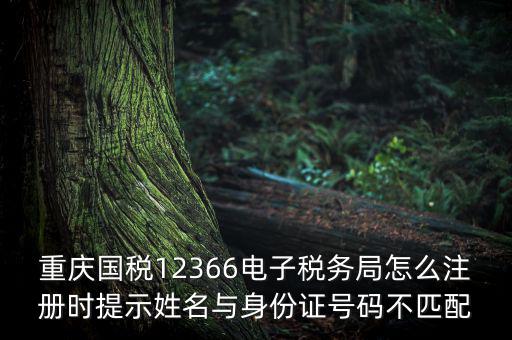 重慶國稅12366電子稅務(wù)局怎么注冊時(shí)提示姓名與身份證號碼不匹配