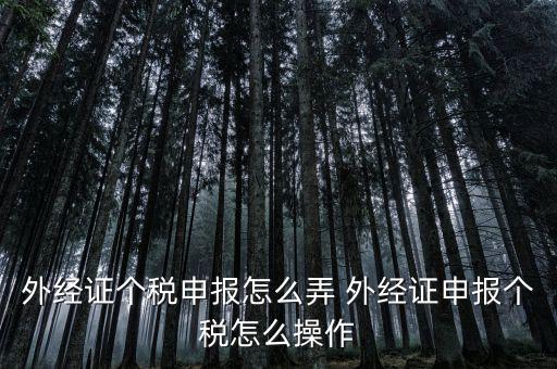 外經(jīng)證個稅申報(bào)怎么弄 外經(jīng)證申報(bào)個稅怎么操作
