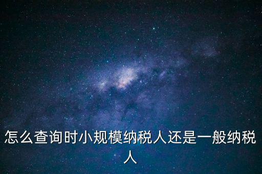 電子稅務(wù)局如何查看正常戶(hù)，怎么查詢(xún)時(shí)小規(guī)模納稅人還是一般納稅人