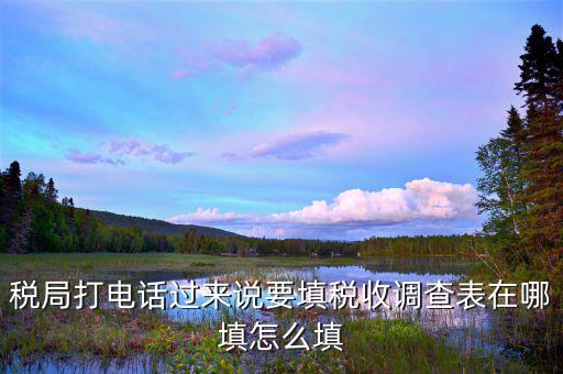 涉稅事項(xiàng)調(diào)查表如何填寫，09全國稅收調(diào)查表如何填寫