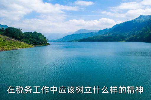 稅務(wù)干部如何踐行 安精神，在稅務(wù)工作中應(yīng)該樹立什么樣的精神