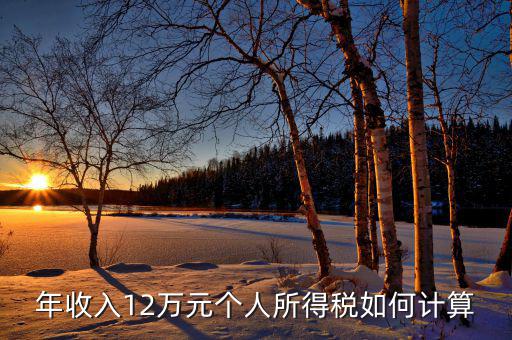 如何計(jì)算12萬申報(bào)，年收入12萬元個(gè)人所得稅如何計(jì)算