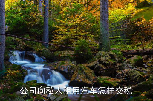 個(gè)人租賃車(chē)輛如何交稅嗎，租個(gè)人的車(chē)輛應(yīng)該繳納哪幾種稅并且稅率是多少