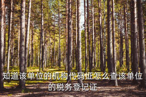 如何查企業(yè)稅務(wù)局登記，公司的稅務(wù)登記證號怎么查詢