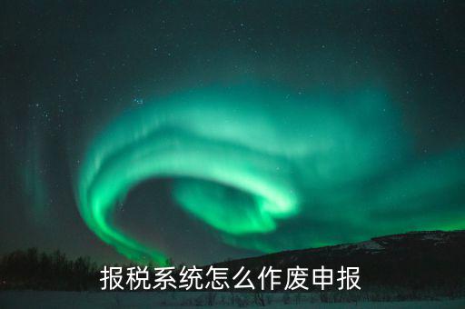 報稅系統(tǒng)怎么作廢申報