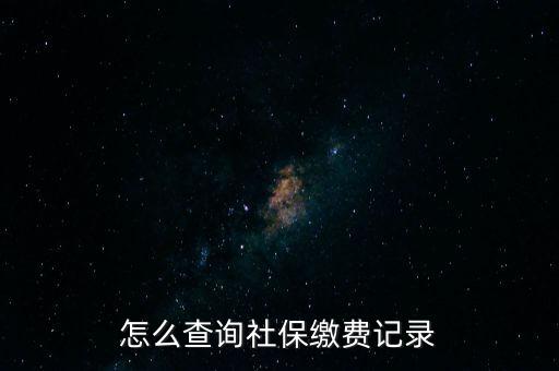 如何在地稅網(wǎng)繳納社保查詢(xún)，單位交了社保費(fèi)在地稅網(wǎng)怎么查詢(xún)