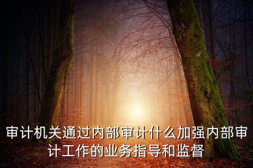 如何進(jìn)一步加強(qiáng)督察內(nèi)審工作，如何加強(qiáng)紀(jì)檢監(jiān)察系統(tǒng)內(nèi)部監(jiān)督管理