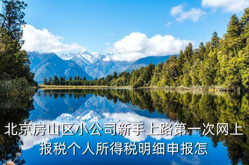 北京網(wǎng)上申報(bào)后如何繳稅，地稅國稅的網(wǎng)上繳稅怎么繳
