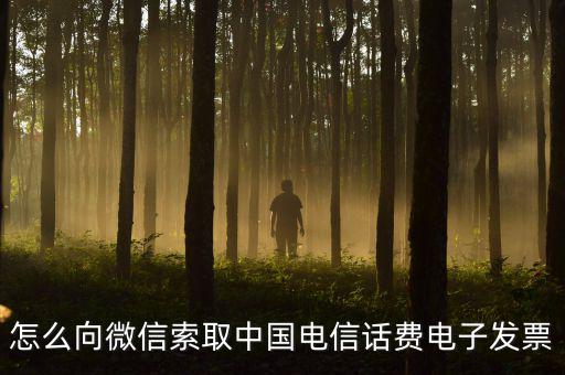 發(fā)票幫公眾號如何使用，9月1號預付微信公眾號300元9月6號收到發(fā)票要怎么做賬
