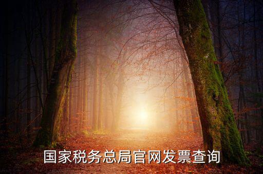 江蘇國稅如何查詢發(fā)票，江蘇發(fā)票真?zhèn)尾樵內(nèi)绾尾樵兘K發(fā)票真?zhèn)尾樵內(nèi)绾尾樵冏钪匾氖沁M