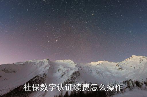 數(shù)字證書如何續(xù)費，社保和公積金的數(shù)字證書到期怎么續(xù)費啊