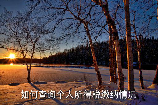 如何查詢自己交稅情況，個(gè)人繳稅記錄怎么查詢