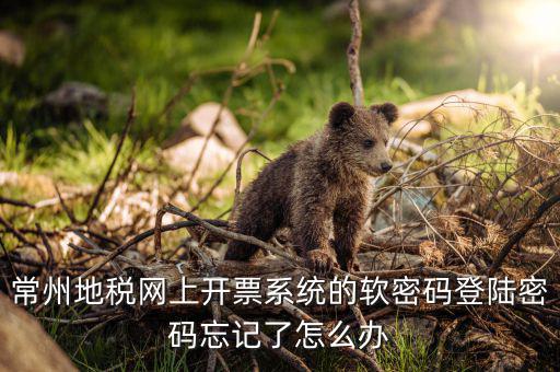 江蘇省電子稅務局如何找回密碼，稅務電子申報軟件密碼忘記該怎么辦