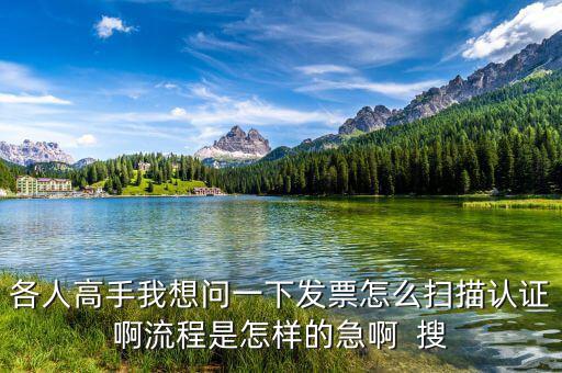 如何掃描認(rèn)證發(fā)票，各人高手我想問一下發(fā)票怎么掃描認(rèn)證啊流程是怎樣的急啊  搜