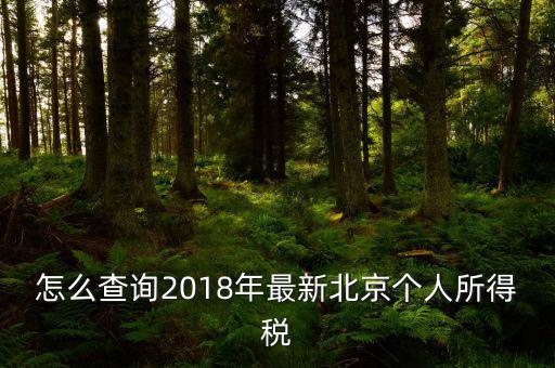 北京如何查詢(xún)個(gè)稅完稅證明，怎么查詢(xún)2018年最新北京個(gè)人所得稅