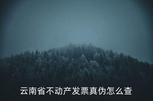 不動產(chǎn)統(tǒng)一發(fā)票如何查詢真?zhèn)?，銷售不動產(chǎn)統(tǒng)一發(fā)票真假怎么辨別