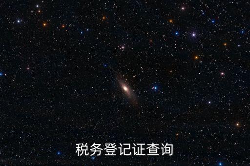 稅務(wù)機(jī)關(guān)備案信息如何查詢系統(tǒng)，稅務(wù)登記證查詢