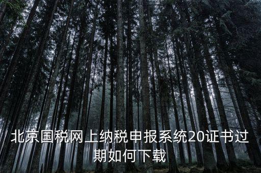 北京國稅網(wǎng)站如何更新，如何在國稅網(wǎng)上更新公司的信息