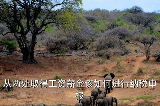 多出取得工資 如何申報(bào)個(gè)稅，個(gè)人多處取得所得如何申報(bào)繳納個(gè)稅