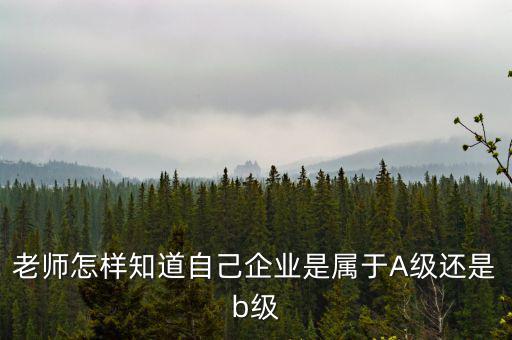 企業(yè)級別如何查，企業(yè)資質等級怎樣查