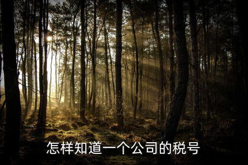單位稅號(hào)如何查詢，知道公司名字怎么查稅號(hào)嗎