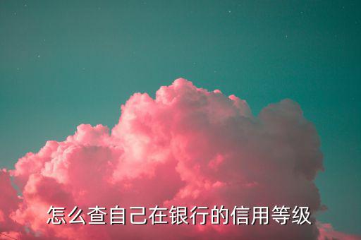 如何查納稅人信用等級(jí)，如何確認(rèn)企業(yè)為納稅信用A級(jí)增值稅一般納稅人