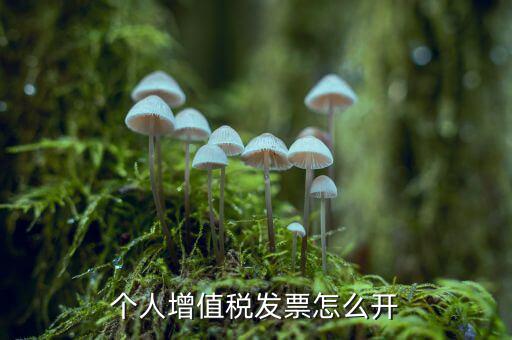 個(gè)人如何開增值稅普票，開增值稅普通發(fā)票個(gè)人怎么開