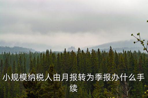 小規(guī)模附加稅如何改成按季申報(bào)，小規(guī)模納稅人增值稅按月申報(bào)可以改為按季度申報(bào)嗎