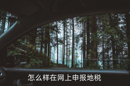 地稅網(wǎng)站如何注冊，地稅網(wǎng)上申報注冊怎么操作