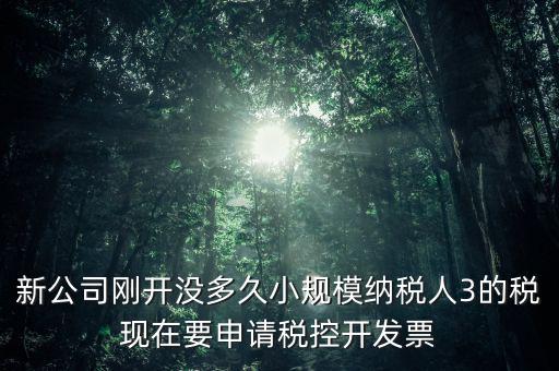 如何申請(qǐng)稅控和發(fā)票，怎樣申請(qǐng)發(fā)票和裝稅控