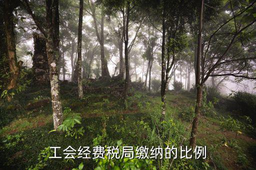 稅局代收的工會經(jīng)費應如何交納，稅務局代收的工會經(jīng)費怎么交