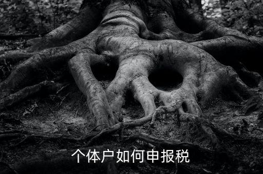 個(gè)體工商戶稅如何申報(bào)，個(gè)體工商戶個(gè)稅怎么報(bào)